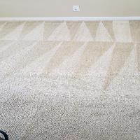 Eco Green Steam Carpet Cleaning image 2